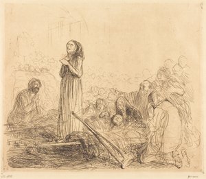 Lourdes, den mirakuløse (første plansje)