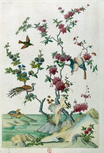 Tegning fra en kinesisk vase: fugler og blomster. Maleri av Jean Antoine Fraisse (1700-tallet)