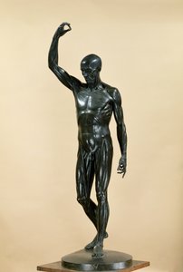 Fløyet kropp (L