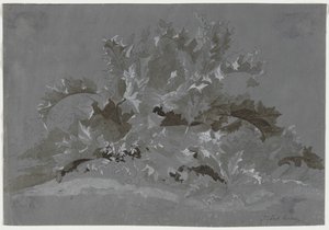 Studie av ugress, 1800-1850.