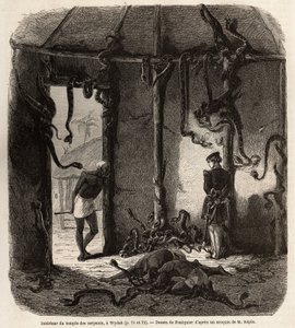 Inne i tempelet til fetisjer slanger, i Wydah, i Dahomey (dagens Benin), tegning av Jean Antoine Foulquier (1822-1896), for å illustrere Dr. Repins reise til Dahomey i 1860. Gravering i "" Le tour du monde" ”, redigert av Edouard Charton