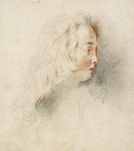Hodet til en gutt i profil (svart og rødt kritt på farget off-white papir) av Jean Antoine Watteau