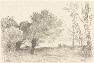 Pil og hvitpoppel (Saules et peupliers blancs) av Jean Baptiste Camille Corot