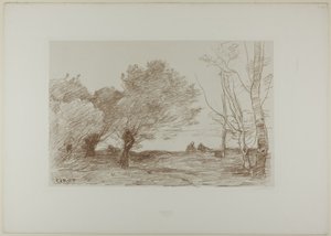 Pil og hvitpoppel av Jean Baptiste Camille Corot