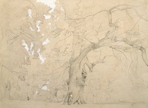 Ung mann foran en stor eik, ca. 1840 (blyant og gouache på papir) av Jean Baptiste Camille Corot