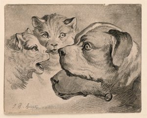 Hoder av katter og hunder av Jean Baptiste Huet
