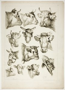 Plate 35 av 38 fra Oeuvres de J. B. Huet av Jean Baptiste Huet