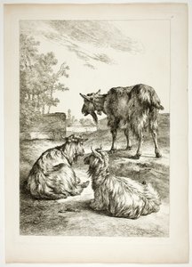 Plate atten av 38 fra Oeuvres de J. B. Huet av Jean Baptiste Huet