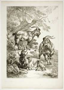 Plate Sytten av 38 fra Oeuvres de J. B. Huet av Jean Baptiste Huet