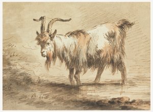 Studie av en geit av Jean Baptiste Huet