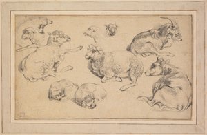 Ark med studier med sauer, geiter og hunder, ca. 1780. av Jean Baptiste Marie Huet