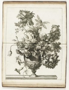 Bloemenvaas Books of Several Vazes of Flowers laget etter Natural (serietittel) av Jean Baptiste Monnoyer
