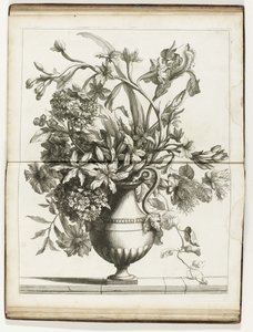 Bloemenvaas Books of Several Vazes of Flowers laget etter Natural (serietittel) av Jean Baptiste Monnoyer