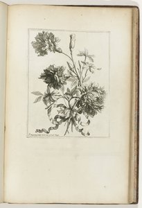 Innbundet bukett Les Petits Bouquets (serietittel) av Jean Baptiste Monnoyer