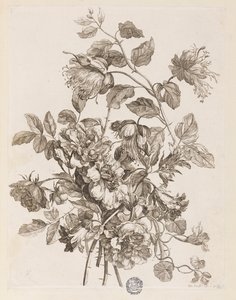 Tallerken fra "The Book of All Kinds of Flowers from Nature"
