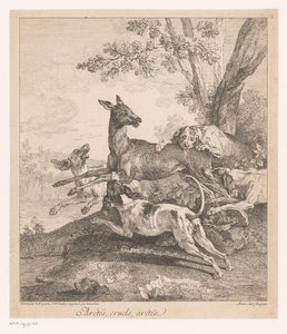 Hjort angrepet av jakthunder Arrêtés, grusomme, arrêtez (...) (tittel på objekt) Jaktscener (serietittel) av Jean Baptiste Oudry