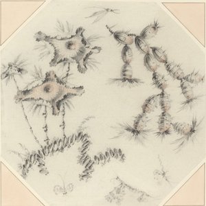 Bambusblomster og kaktus av Jean Baptiste Pillement