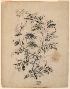  av Jean Baptiste Pillement