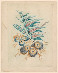 Fantastisk blomstermotiv fra Nouvelle Suitete de Cahiers de Fleurs Idéales av Jean Baptiste Pillement