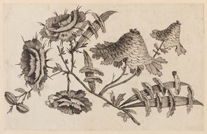Flower Bough, fra "Chinese Flower Collection" av Jean Baptiste Pillement