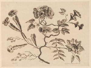 Blomstergrener, fra "Samling av forskjellige fantasiblomster i kinesisk smak" av Jean Baptiste Pillement