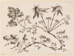 Blomstergrener, fra "Samling av forskjellige fantasiblomster i kinesisk smak" av Jean Baptiste Pillement