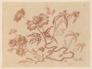 Blomstergrener, fra "Samling av forskjellige fantasiblomster i kinesisk smak" av Jean Baptiste Pillement