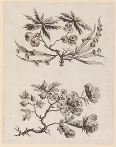 Blomstergrener fra "Chinese Flower Collection"