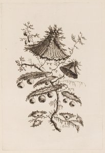 Blomstergren, fra "Fleures Persannes" av Jean Baptiste Pillement