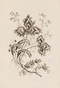 Blomstergren, fra "Fleures Persannes" av Jean Baptiste Pillement