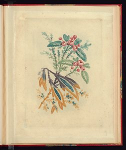 Ornamental design med små røde blomster og bær, fra New Suite of Natural Flower Notebooks for the Use of Draughters and Malers, No.1 av Jean Baptiste Pillement