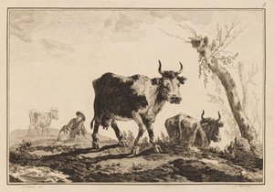 Plate 5, "Notatbok med seks ark med okser og kyr" av Jean Baptiste Pillement
