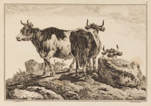 Plate 6, fra "Notebook of Six Sheets of Oxen and Cows" av Jean Baptiste Pillement