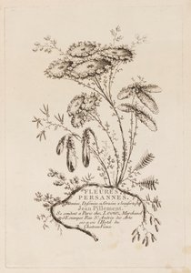 Tittelside, fra "Persiske blomster" av Jean Baptiste Pillement