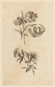 To blomsterkvister av Jean Baptiste Pillement