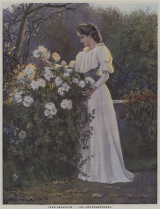 Les Chrysanthemes (krysantemum)