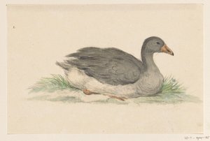 And, til høyre av Jean Bernard