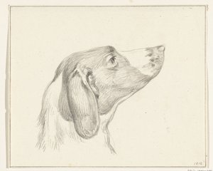 Hodet til en hund, til høyre av Jean Bernard