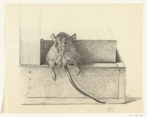 Mus (i en felle?) av Jean Bernard
