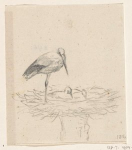 Stork på reir av Jean Bernard