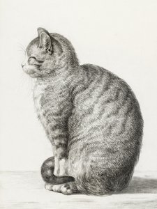  av Jean Bernard