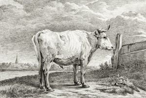  av Jean Bernard