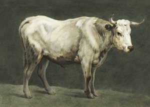  av Jean Bernard