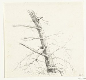 Studie av et tre av Jean Bernard