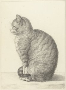 Sittende katt, til venstre