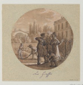 Design for en malt porselenstallerken, Les Greffes (Grafts) fra Service de la Culture des Fleurs (Flower Cultivation Service) av Jean Charles Develly