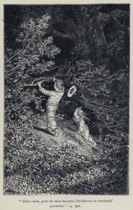 "Før dem dyrket de vakreste bjørnebærene i fantastiske mengder" (gravering) av Jean Edouard Dargent