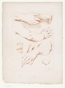 Komposisjon med armer, nese og en del av et ansikt Komposisjoner med deler av menneskekroppen (serietittel) av Jean Francois Janinet