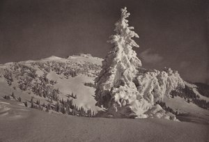 Rigi Kaltbad, Skigelande og Rigi Kulm (s/hvitt foto) av Jean Gaberell