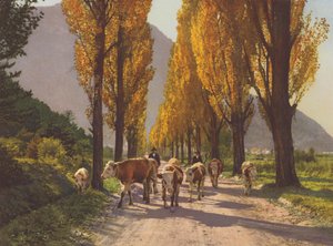 Sveits: Rhônedalen nær Visp (fargebilde)